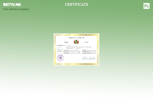 модерен стил Боливија извод за брак Шаблон за Word и PDF